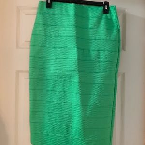 Brand New green skirt
